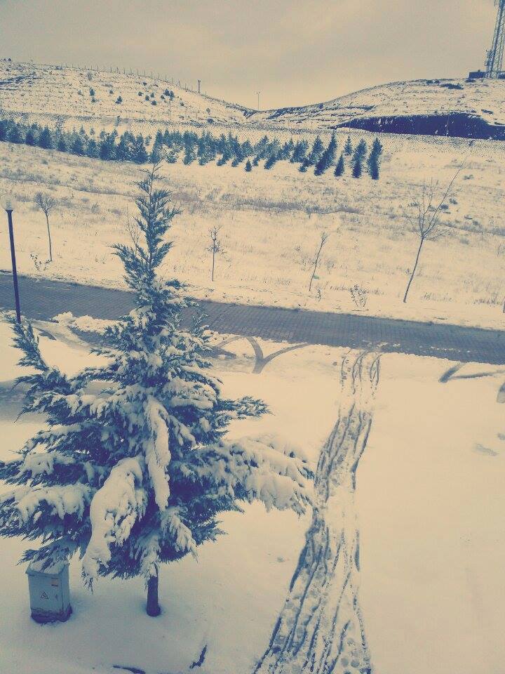 10373641_910166749028731_9030154841140597902_n