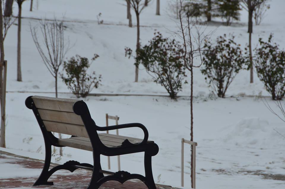 10403094_908664779178928_3992270121082150809_n